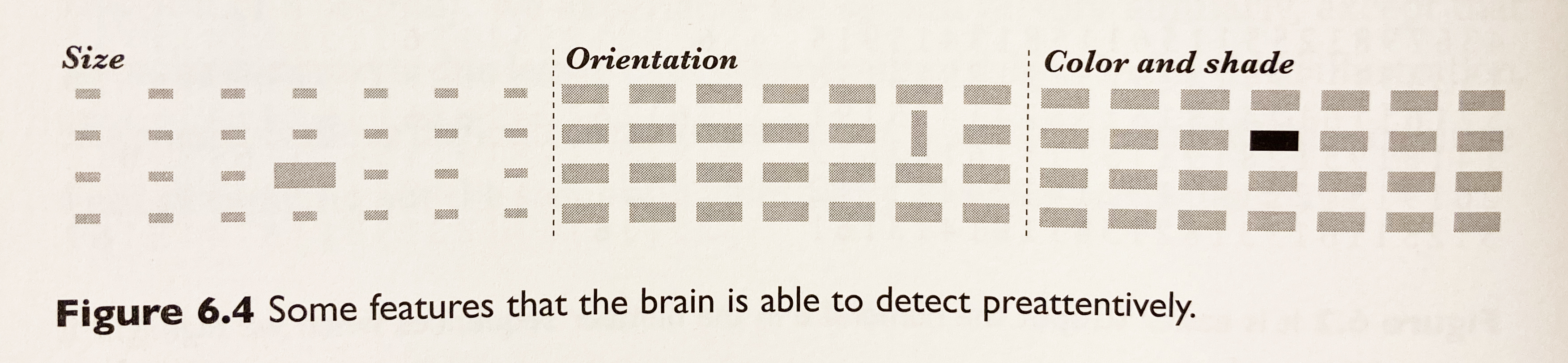 preattentive attributes, size, orientation, color